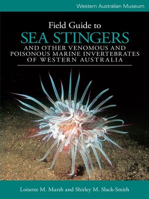 cover image of Field Guide to Sea Stingers